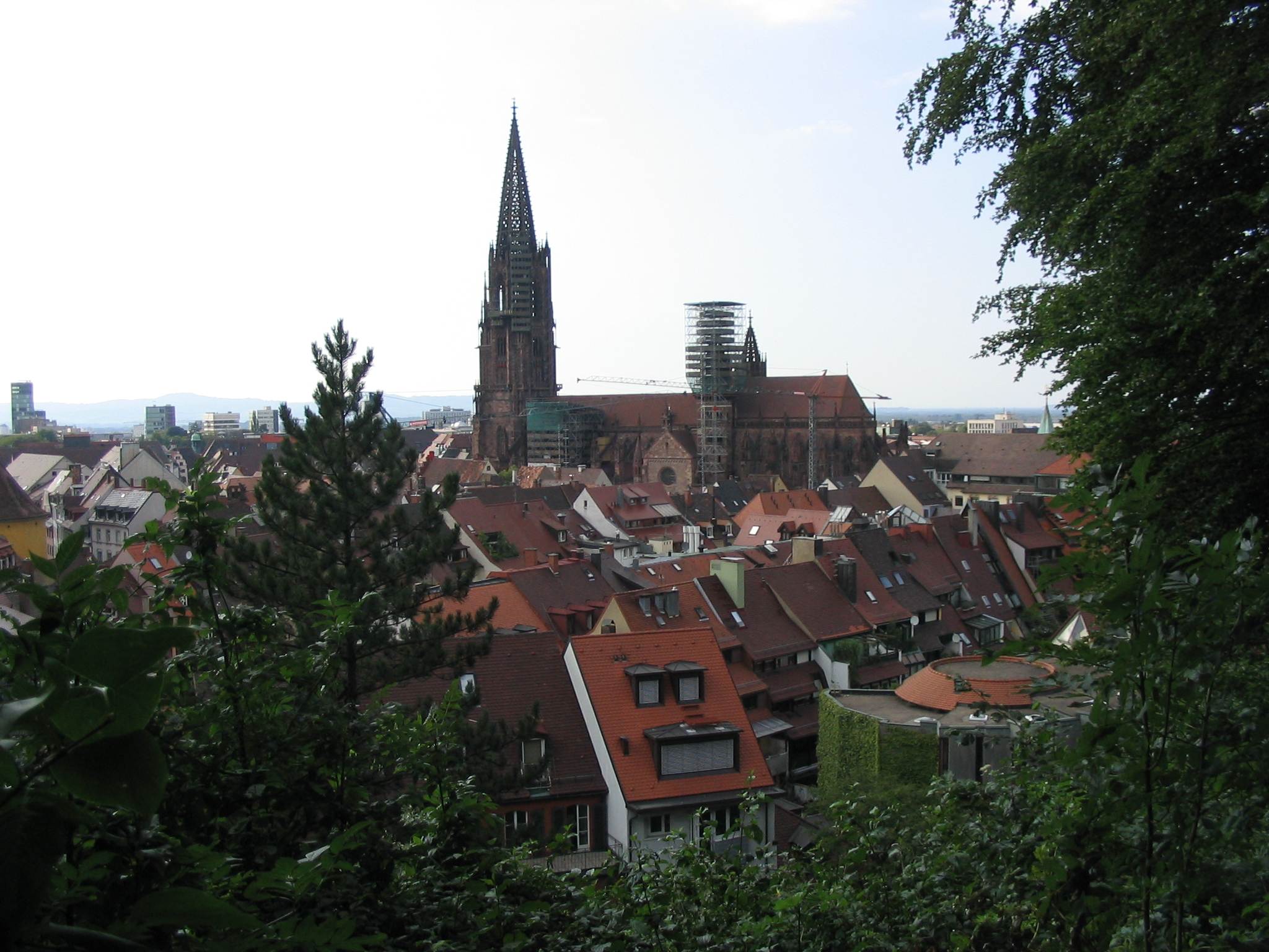Freiburg im Breisgau: Blick über die Altstadtdächer auf das Freiburger Münster